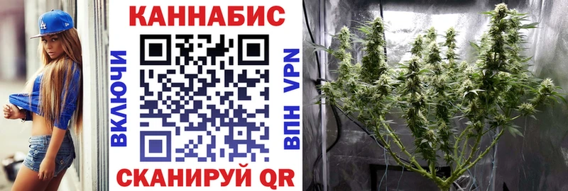 Конопля OG Kush  omg зеркало  Дагестанские Огни 